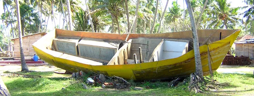 Fishing boat on grassland with palm trees